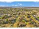 High-angle shot of the golf community boasting lush green fairways, lake views, and beautiful homes surrounded by mature trees at 3957 Tarpon Pointe Cir, Palm Harbor, FL 34684