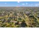 Expansive aerial view of the golf course and surrounding community with lush greenery, under a partly cloudy sky at 3957 Tarpon Pointe Cir, Palm Harbor, FL 34684