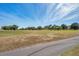 Expansive golf course view of a sunny community with mature trees and manicured lawn at 3957 Tarpon Pointe Cir, Palm Harbor, FL 34684