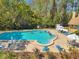 Community swimming pool with lounge chairs and umbrellas surrounded by lush greenery with a glimpse of the clubhouse at 3957 Tarpon Pointe Cir, Palm Harbor, FL 34684