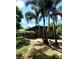 View of an outdoor patio with palm trees, offering a serene and private retreat at 4485 49Th N Ave, St Petersburg, FL 33714