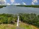 Aerial view of the area's dock stretching into tranquil waters, surrounded by vibrant green trees and a distant cityscape at 618 Wheaton Trent Pl, Tampa, FL 33619