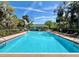 Bright and refreshing swimming pool, equipped with lounge chairs and shade, for community relaxation at 618 Wheaton Trent Pl, Tampa, FL 33619