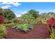 Beautiful garden with neatly arranged plants and mulch, showcasing vibrant greenery and organized landscaping at 6677 Poinsettia S Ave, St Petersburg, FL 33707