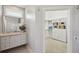 Well-lit bathroom with a vanity and a mirror, with an open door to a large walk-in closet at 806 Linwood Ter, Lutz, FL 33549