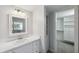 Bathroom vanity features white cabinets, countertop, a decorative mirror, and access to a closet at 806 Linwood Ter, Lutz, FL 33549