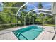 Screened-in pool area featuring a sparkling pool surrounded by lush greenery at 806 Linwood Ter, Lutz, FL 33549