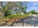 Street view of the home and yard; a large grassy area between the street and the house at 806 Linwood Ter, Lutz, FL 33549