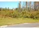 Scenic view of the community's natural landscape with a water tower in the distance at 8116 Painted Sky Pl, Land O Lakes, FL 34637