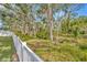 Fenced yard with trees and greenery at 12965 Satin Lily Dr, Riverview, FL 33579