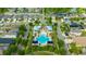 Aerial view of a community pool with cabanas, lounge chairs, and palm trees in a residential neighborhood at 12965 Satin Lily Dr, Riverview, FL 33579