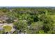 Aerial view of the property nestled in a lush, tree-filled neighborhood with glimpses of the coastline in the distance at 1444 Oak Haven Dr, Safety Harbor, FL 34695