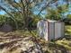 A backyard view of two outdoor storage sheds and large shade trees at 1444 Oak Haven Dr, Safety Harbor, FL 34695