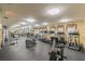 Well-equipped fitness center featuring treadmills, elliptical machines, and various weight training equipment at 1610 Raena Dr # 204, Odessa, FL 33556
