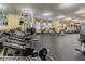 Spacious gym featuring free weights, weight machines, and treadmills at 1610 Raena Dr # 204, Odessa, FL 33556