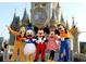 Group of costumed characters in front of fairytale castle, creating a magical and whimsical scene at 201 Kings Blvd # 19, Sun City Center, FL 33573