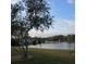 Scenic view of a pond surrounded by lush greenery and homes under a bright, partly cloudy sky at 201 Kings Blvd # 19, Sun City Center, FL 33573