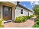 Welcoming front entrance with brick walkway, lush landscaping, and elegant brown door at 4257 Rosatti Rd, Wesley Chapel, FL 33543