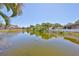Picturesque pond view with fountain surrounded by tropical trees and plants, offering a tranquil setting at 5785 Bay Pines Lakes Blvd, St Petersburg, FL 33708