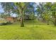 Lush backyard featuring mature trees, offering plenty of space for outdoor enjoyment at 7902 River Ridge Dr, Temple Terrace, FL 33637