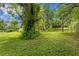 Expansive backyard featuring lush green grass and a mature shade tree, creating a serene outdoor space at 7902 River Ridge Dr, Temple Terrace, FL 33637