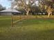 Spacious backyard featuring a freshly installed fence, mature trees, and ample green space at 9019 S County Line Rd, Lithia, FL 33547