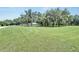 Expansive front yard with mature trees, lush green grass, and a view of the charming home at 9019 S County Line Rd, Lithia, FL 33547