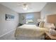 Bedroom features bright window, ceiling fan, calming colors, and neutral-toned wood-look flooring at 1400 Gandy N Blvd # 1701, St Petersburg, FL 33702