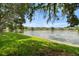 Picturesque view of a tranquil pond surrounded by lush green grass and mature trees at 19232 Barred Owl Ct, Land O Lakes, FL 34638