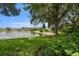 Scenic pond view with mature trees enhancing the tranquil, natural setting at 19232 Barred Owl Ct, Land O Lakes, FL 34638
