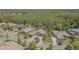 Aerial view of homes in a neighborhood featuring lush landscaping and mature trees at 20142 Lace Cascade Rd, Land O Lakes, FL 34637