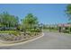 Gated entrance to the community with manicured landscaping and security features at 20142 Lace Cascade Rd, Land O Lakes, FL 34637