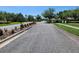 Street view of a neighborhood street, lined with lush landscaping, trees and plants at 20142 Lace Cascade Rd, Land O Lakes, FL 34637