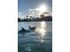 Two dolphins swim and play in the ocean, under a sunny sky at 2387 Hanover Dr # 2387, Dunedin, FL 34698