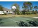 Outdoor basketball court showcasing a hoop and well-maintained green playing surface for recreational activities at 7869 Timberview Loop, Wesley Chapel, FL 33545