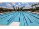 Gorgeous lap pool featuring clear blue water and lane markers surrounded by lounge chairs at 7869 Timberview Loop, Wesley Chapel, FL 33545