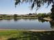Peaceful pond reflecting the surrounding homes in a tranquil community setting at 19232 Barred Owl Ct, Land O Lakes, FL 34638