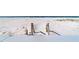 Beach entrance with wooden posts, with white sand, and blue ocean at 1460 Gulf Blvd # 406, Clearwater Beach, FL 33767