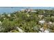 Stunning aerial view of a lush neighborhood with mature trees and waterfront views at 250 Aberdeen St, Dunedin, FL 34698