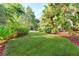 Lush green lawn bordered by mature landscaping creates a private backyard oasis at 250 Aberdeen St, Dunedin, FL 34698