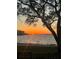 Stunning sunset view with a large tree silhouetted in the foreground over calm waters at 2700 Bayshore Blvd # 519, Dunedin, FL 34698