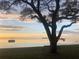 Calm water view featuring a large tree in the foreground and buildings visible in the distance at 2700 Bayshore Blvd # 519, Dunedin, FL 34698