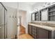 A bathroom with double sinks, a cabinet with mirrors and shelving and wood-look floors at 3319 Fox Ridge Blvd, Wesley Chapel, FL 33543