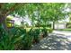 Long driveway lined with tropical plants and trees, leading to a spacious backyard with a large metal garage at 3319 Fox Ridge Blvd, Wesley Chapel, FL 33543