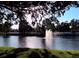 Picturesque pond scene featuring a fountain, lush trees, and a well-maintained grassy shoreline at 3611 Pine Knot Dr, Valrico, FL 33596