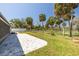 View of the backyard, complete with a concrete patio, a manicured lawn, mature palm trees, and fencing at 4256 Rudder Way, New Port Richey, FL 34652