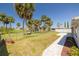 View of the backyard with lush green grass, mature palm trees, and a concrete paver walkway at 4256 Rudder Way, New Port Richey, FL 34652