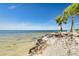 This shot showcases a sandy beach, ocean view, and palm trees against a clear blue sky at 4256 Rudder Way, New Port Richey, FL 34652