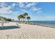 This beach view shows the shoreline, palm trees, and calm ocean waters under a blue sky at 4256 Rudder Way, New Port Richey, FL 34652