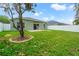 Green backyard with tree ring, patio, and sliding glass doors to house at 5902 War Admiral Dr, Wesley Chapel, FL 33544
